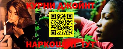 сатива Будённовск
