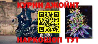 сатива Будённовск