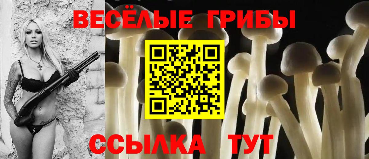 Галлюциногенные грибы мухоморы  Вход с VPN  что такое наркотик  Трёхгорный  Псилоцибиновые грибы Psilocybe 